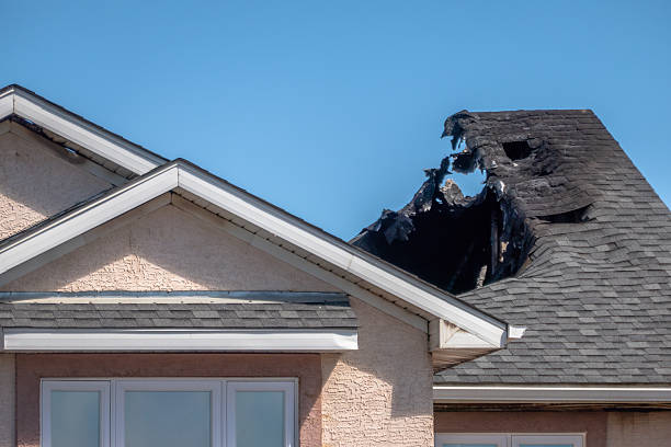 Top rated local Fire Damage Removal specialists in Lewisville, TX